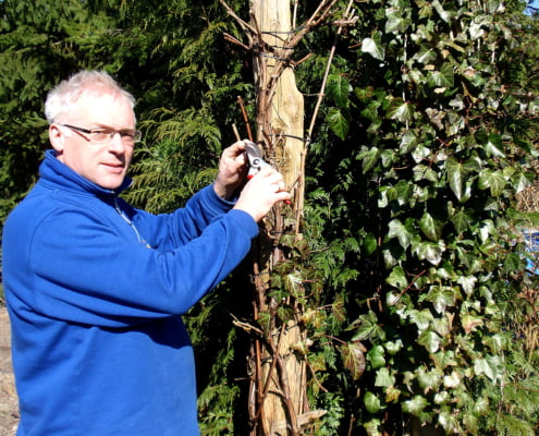 Tuinonderhoud Leersum
